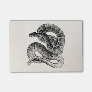 Post-it® Modèle vintage de serpent de reptile de serpent