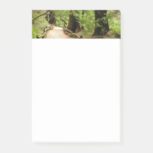Post-it® Muir Woods Path II Nature Photography