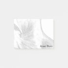 Muscles du dos vintages de l'anatomie | (circa