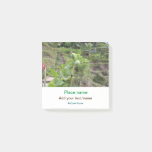 Post-it® Nature plante photographie plage eau nom de voyage