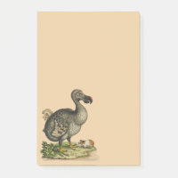 Nature sauvage DoDo Bird