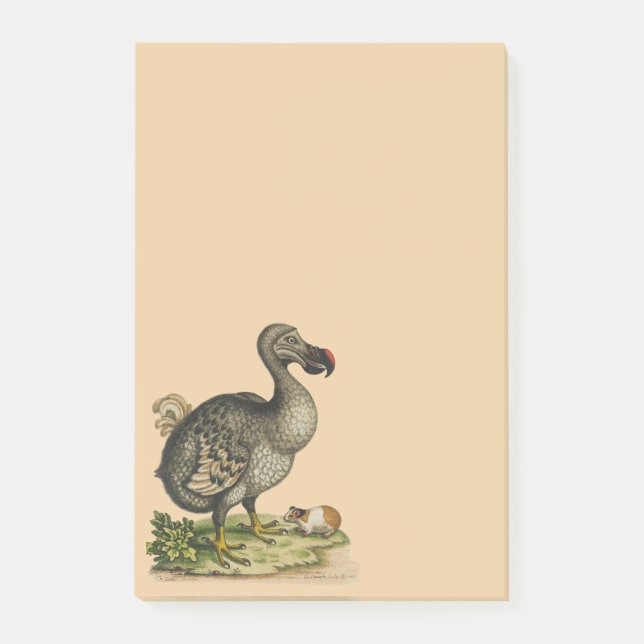 Post-it® Nature sauvage DoDo Bird (Devant)