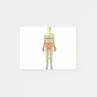 Neurologie des dermatomes sensoriels