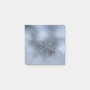 Post-it® noël d'hiver 97