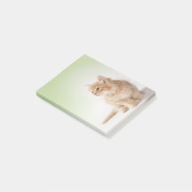 Note de post-it de chaton