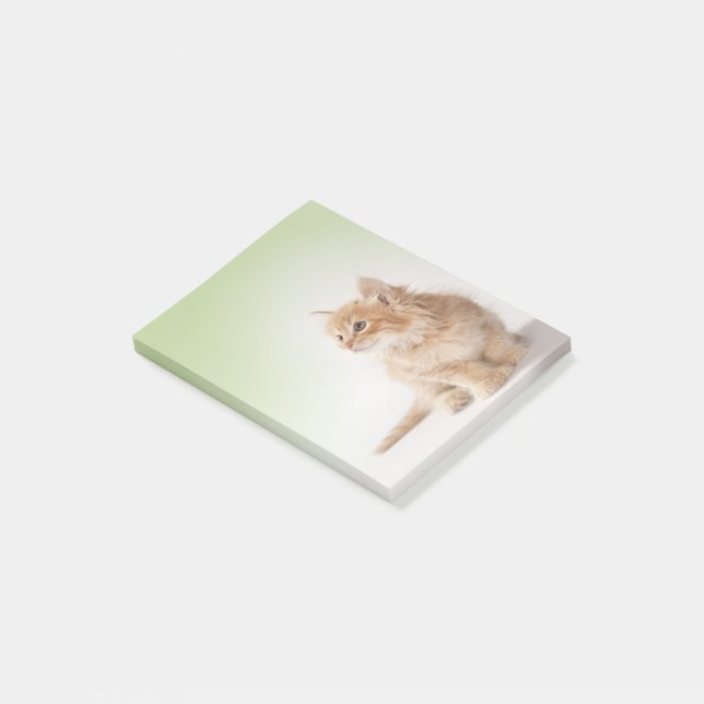 Post-it® Note de post-it de chaton (Incliné)