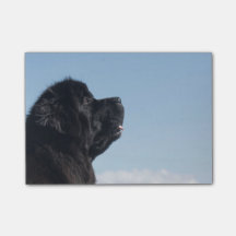 Note de post-it réfléchie d'Inka