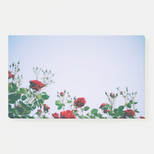 Post It Notes (Front)