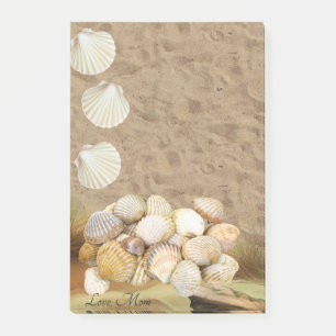 Post-it Notes Coquilles de plage Pierres de plage