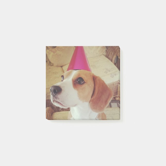 Post-it® Notes de post-it de beagle d'anniversaire (Devant)