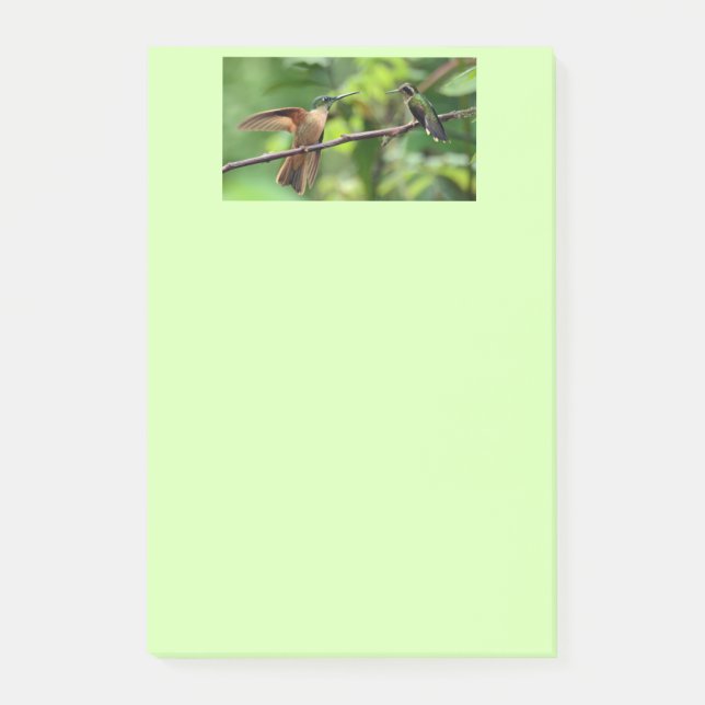 Post-it® Notes de post-it de colibri (Devant)