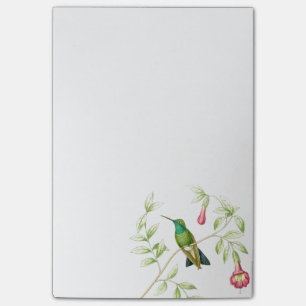 Post-it® Notes de post-it de colibris de Goulds