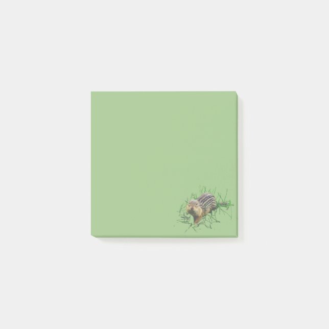 Post it notes ground squirrel (Front)