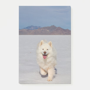 Post-it® Notes post-it de 4 po x 6 po - Salt Flats