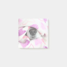 Notes sur le billet Dog Nose