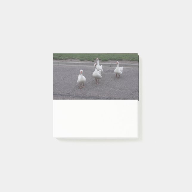 Post-it® Notes sur le canard (Devant)