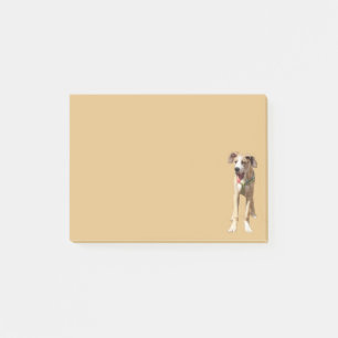 Post it notes  Walter the Great Dane