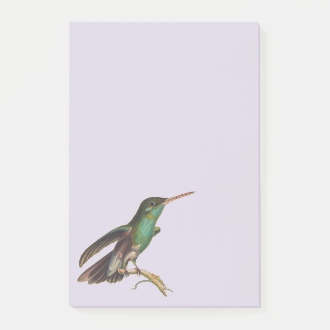 Post-it® Oiseaux sauvages de la nature Colibri (Devant)