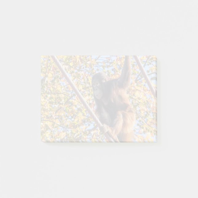 Post-it® Orangutan Redd au National Zoo Post-it Notes (Devant)