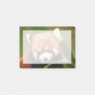 Post-it® Panda rouge mignonne