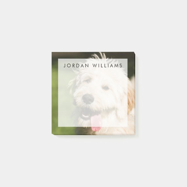 Post-it® Panneaux de coquelicot de Goldendoodle (Devant)