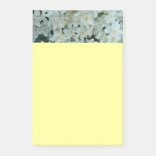 Post-it® Paperwhite Narcissus Fleurs blanches délicates