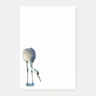 Post-it® Papeterie photo Sandhill Crane 4x6 Notes post-it