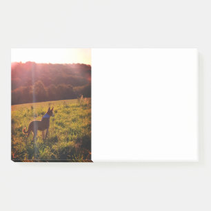 Post-it® Paysage du lever du soleil avec chien