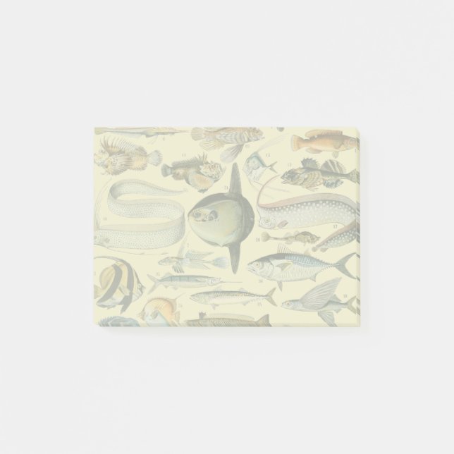 Post-it® Pêche scientifique vintage (Devant)