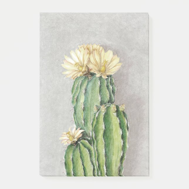 Post-it® Peinture à fleur de cactus (Devant)