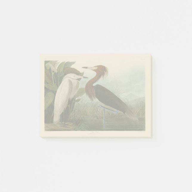 Post-it® Peinture de la faune d'Audubon Heron violet (Devant)