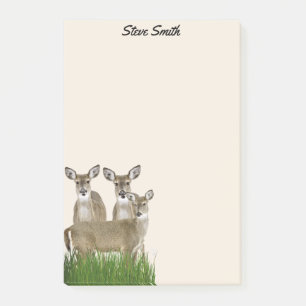 Post-it® Personnaliser Avec Son Nom Whitetail Deer