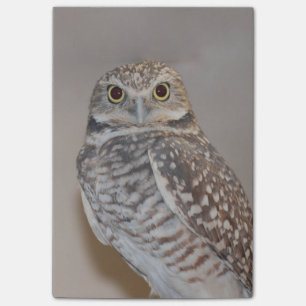 Post-it® Petit hibou