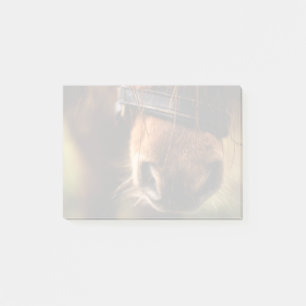 Post-it® Photo Brown de nez de cheval mignonne et rustique