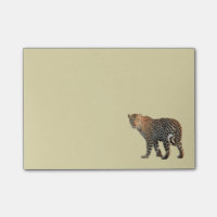 Photo de chat sauvage léopard tacheté