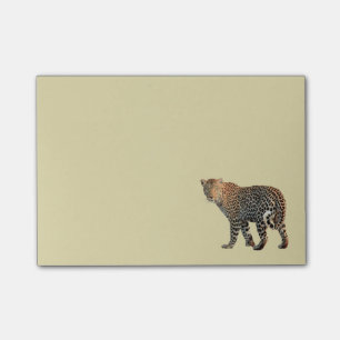 Post-it® Photo de chat sauvage léopard tacheté