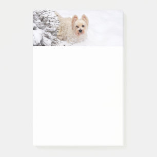 Post-it® Photo de chien Snow Westie Papeterie 4x6 Post-it N