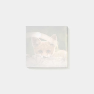 Post-it® Photo de Cute Little Orange Fox