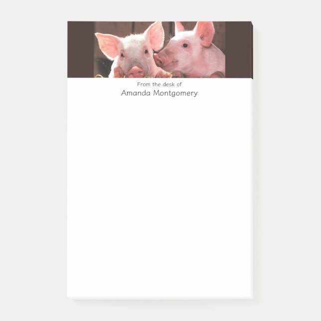 Post-it® Photo d'un animal de porcelets roses mignons (Devant)