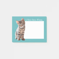 Photo personnalisée de chaton de chat tigré