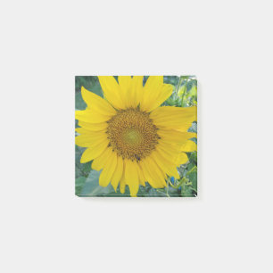 Post-it® Photo tournesol