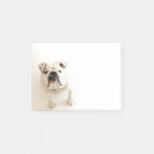 Photographie blanche loyale de bouledogue