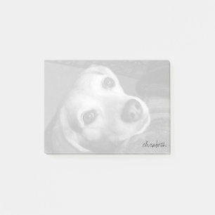 Post-it® Photographie personnalisée pour animaux de compagn
