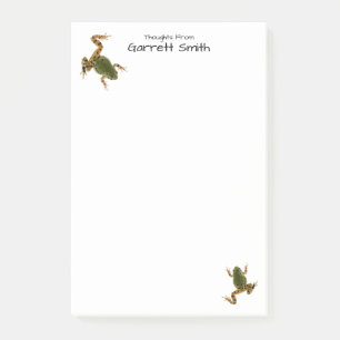Post-it® Photos d'une grenouille verte opposée à la Escalad