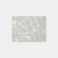 Pierres de plage Coques Galets Rochers Peinture Ar