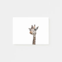 Plan rapproché d'un visage magnifique de girafe
