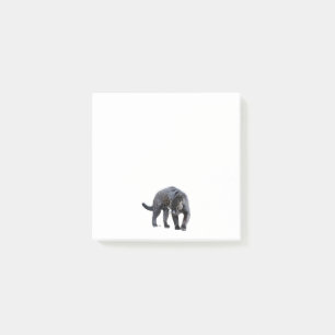 Post-it® Plaquettes de notes blanches de Jaguar Diablo