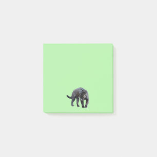 Post-it® Plaquettes de notes vertes Jaguar Diablo