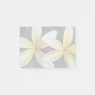 Post-it® Plumérias hawaïennes douces