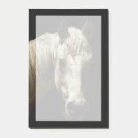 Portrait de cheval VI